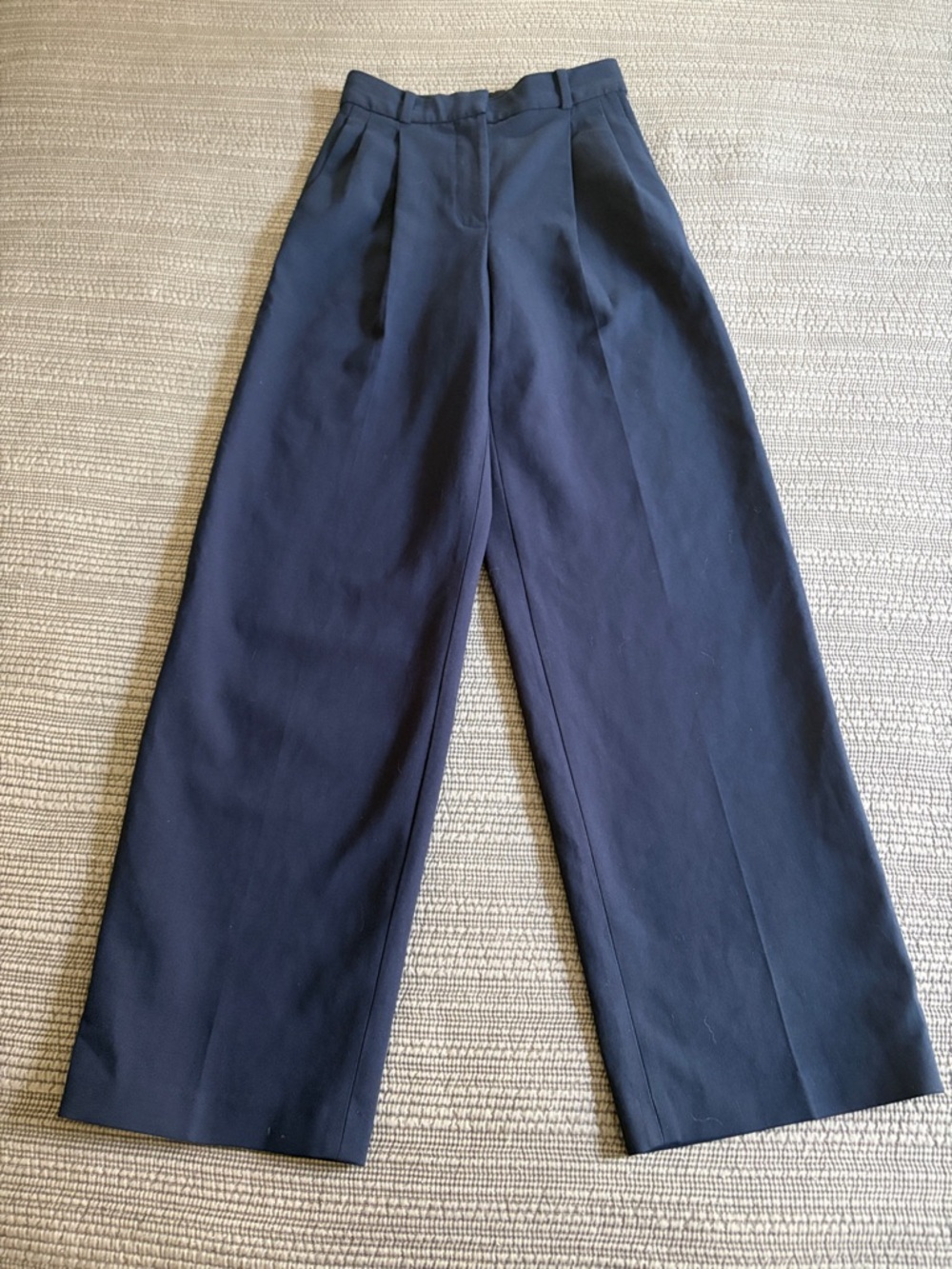 Women’s Aritzia Babaton Pleated Pants